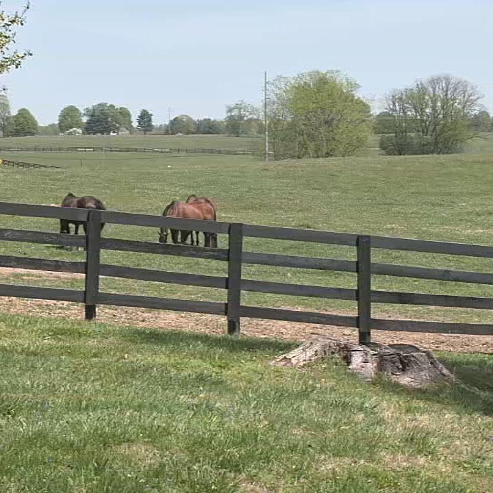 Thoroughbred Retirement Foundation3